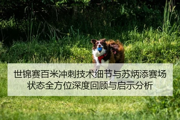 世锦赛百米冲刺技术细节与苏炳添赛场状态全方位深度回顾与启示分析